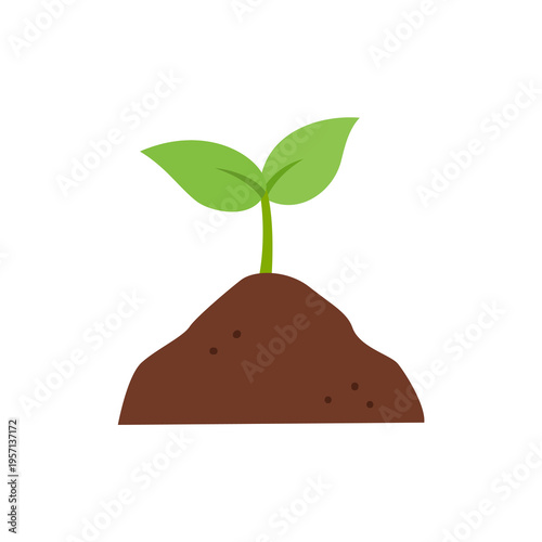 Sprout plant and soil. Spring garden design element.