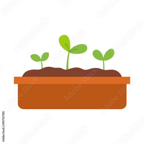 Sprouts and soil in a flowerpot. Spring garden design element.