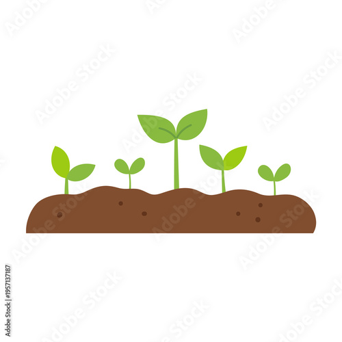 Sprouts and soil. Spring garden design element.