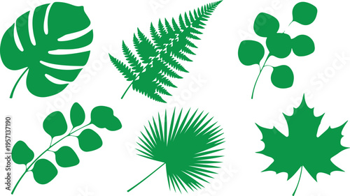 Realistic Green Leaf Vector Collection Detailed Botanical Illustration Set