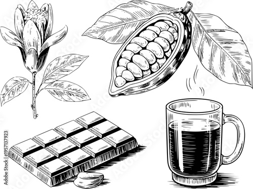 Hand Drawn Cocoa Plant Flower Pod Chocolate Bar And Hot Drink In Glass Cup bean