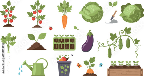 Vegetable Gardening and Organic Farming Illustration Set with Tomato Plants, Carrot, Cabbage, Eggplant and Garden Tools