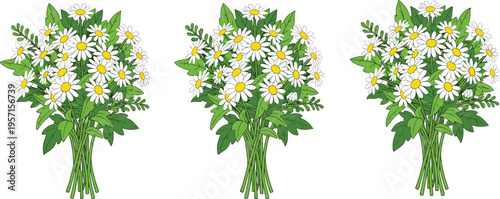 Hand Drawn Chamomile Flower Bouquet Collection Featuring White Daisies With Yellow Centers and Green Leaves for Spring Floral Design
