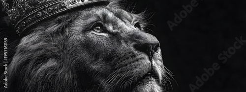 Monochrome portrait of a noble lion king, crowned with a majestic diadem, embodying fierce strength and regal authority