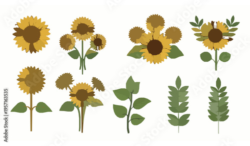 Summer sunflowers vector set with single flowers and bouquets in flat style isolated on white for floral design