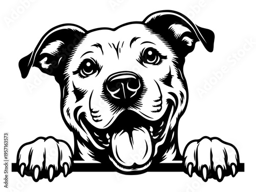 Happy Peeking Pitbull Dog With Smiling Face And Paws, Cute Puppy Silhouette For Pet Lovers, Animal Vector Illustration Design