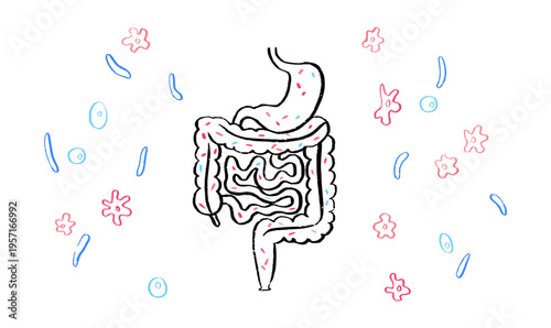 Gut Brain Connection