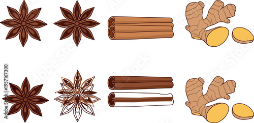 Collection of spice ingredient illustrations featuring star anise, cinnamon sticks and fresh ginger roots in flat vector style isolated on light background for cooking design