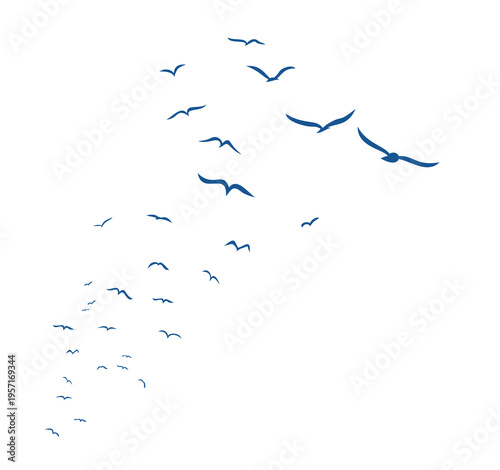 Weeds packs of sea birds.
