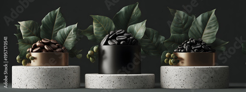 Three different types of roasted coffee beans displayed in stylish containers on pedestals with green leaves