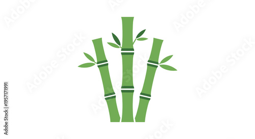 Illustration of three green bamboo stalks with leaves.