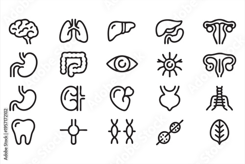 Anatomy and Physiology Icon Set with Organs for Science Visualization