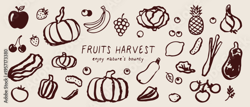Fruits harvest collection, enjoy nature bounty, organic autumn vegetables, pumpkin fruit doodles, farm fresh produce, seasonal harvest illustration, healthy vegan food.
