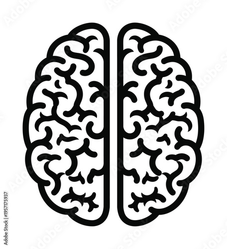 Vector of a human brain depicting the left and right hemispheres