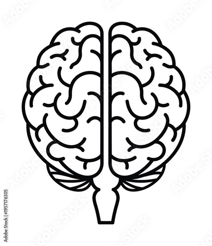 Vector of a symmetrical human brain viewed from the top