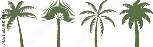Palm tree silhouettes set, tropical coconut and fan palms collection, summer beach nature icons, exotic island vegetation illustration design