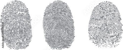 Three grey fingerprint patterns isolated on a white background