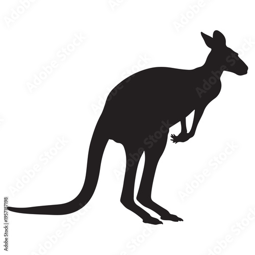 A striking black silhouette of a kangaroo in a natural standing posture silhouette