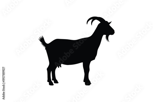 Highquality silhouette of a standing goat with curved horns and tail isolated design