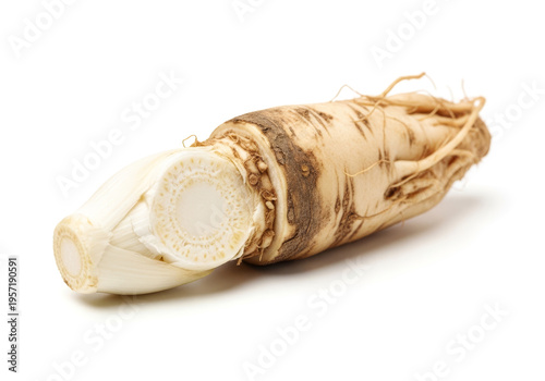 A single, partially peeled chicory root with visible fibrous texture and rootlets, cut to reveal its crisp white interior, isolated on a white background.