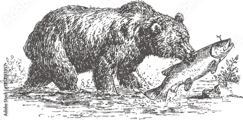 Brown bear catching fish in river wild animal nature scene with bear and salmon hunting for food in water