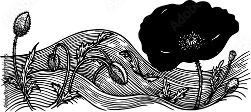 Black poppy flower with detailed leaves and stems in artistic line drawing
