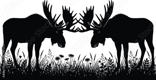 Two Bull Moose Silhouette Standing Face to Face in Wild Grass Meadow with Flowers Isolated on White Background Nature Illustration