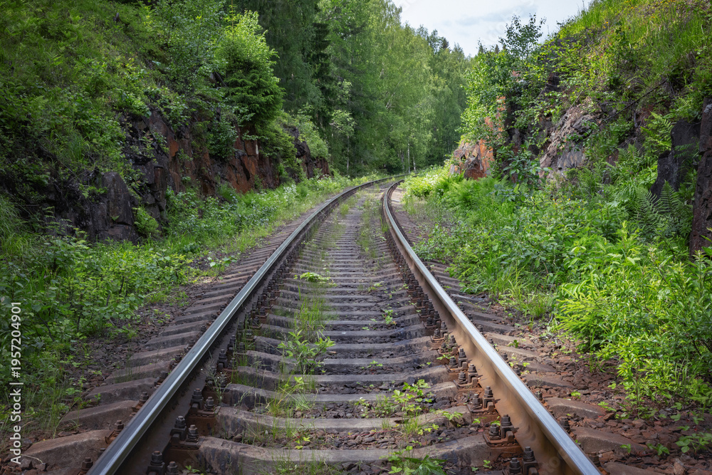 Obraz premium Railway track through forest lands,