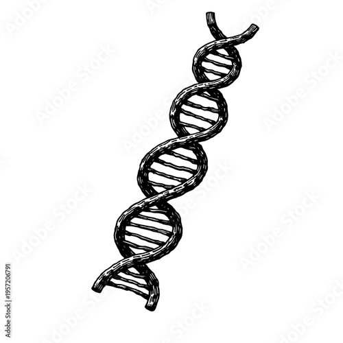 DNA double helix strand for genetic science research concept