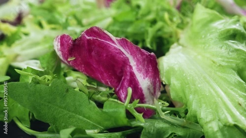 Fresh mixed salad field greens piled close up view.