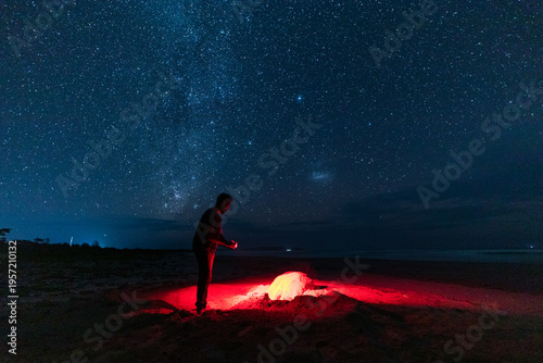 Foto Leatherback turtle ( Dermochelys coriacea ) on a nesting beach in Indonesia
