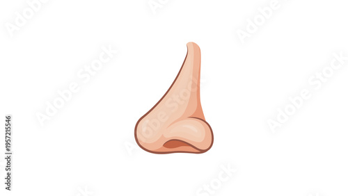 Human nose side view vector isolated on a white background. 