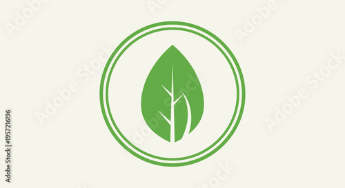 Green leaf logo eco symbol icon.