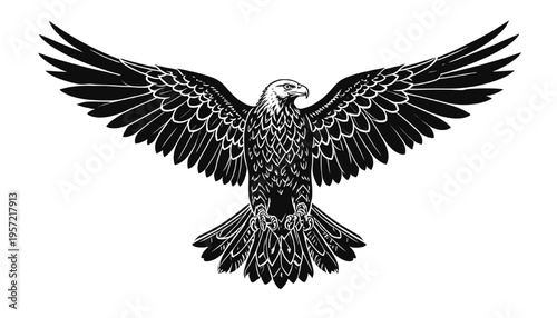 detailed eagle silhouette with wings spread representing power freedom wildlife and bird of prey strength