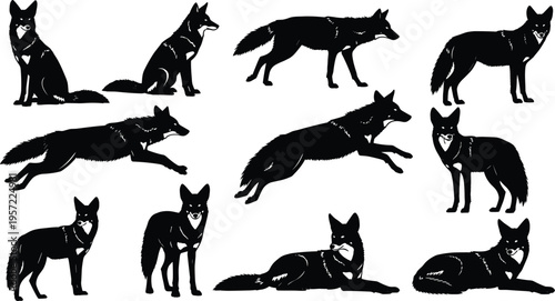 Bear black silhouette vector set, wild forest grizzly and polar animal icons collection, cad drawing flat vector illustration, flavector, hunting.