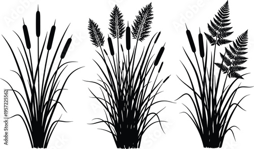 Black silhouette of cattails bulrush reeds marsh grass pampas and fern leaves on white background cad drawing flat vector illustration flavector.