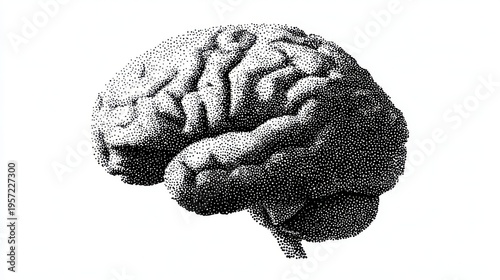 Stippled illustration of human brain isolated on white background
