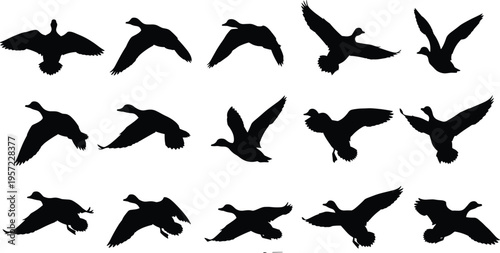 Flying duck black silhouette vector set, wild mallard and waterfowl bird icons collection, cad drawing flat vector illustration, flavector, hunting.