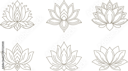 Set of outline lotus flowers with decorative elements with outline icon