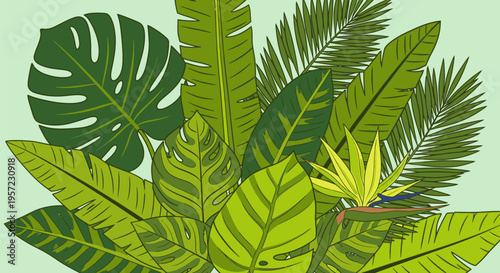 Tropical plants with large and small leaves are thriving in a lush environment.