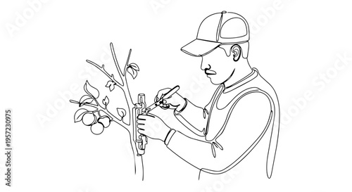 Man grafting fruit tree branch. One line drawing minimalist vector illustration. Spring gardening and tree care concept