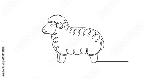 Sheep with curly wool one line drawing. Continuous line art of farm animal. Minimalist livestock vector illustration