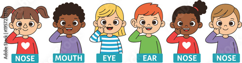 Large set of colorful kitchen utensils including spatulas spoons whisk and peelers with wooden handles isolated on white background for cooking design.