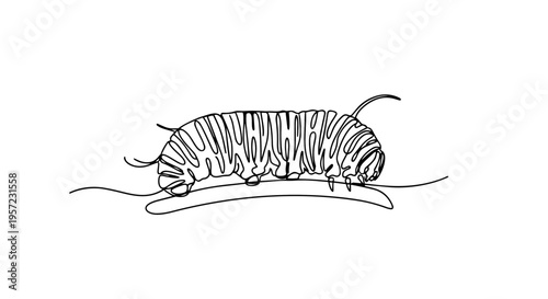 Caterpillar crawling on a branch. One line drawing minimalist vector illustration. Continuous line art of spring larva isolated on white background
