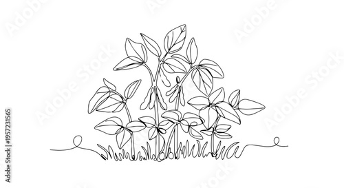 Young plants sprouting from the ground. One line drawing vector illustration. Spring growth and agriculture concept