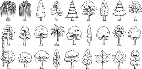 Hand-Drawn Cartoon Tree and Leaf Doodles Set. Diverse Collection of Various Nature Plant Icons, Forest Elements, and Botanical Illustrations for Design.
