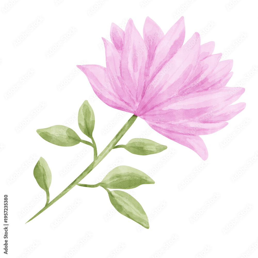 Fototapeta premium Pink Flower watercolor