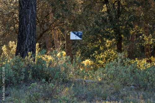 Señal de coto privado de caza en un bosque de pinos, Bocairent, España
