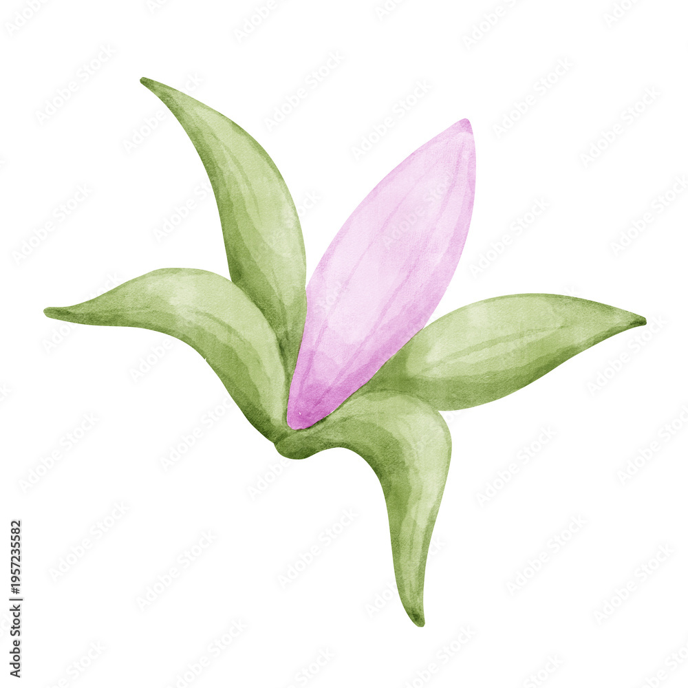 Obraz premium Pink bud watercolor