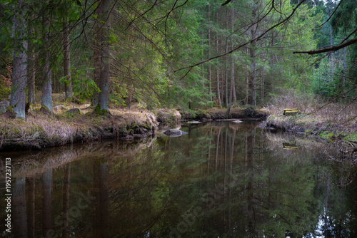 Am Bärentrail beim Höllbachfall